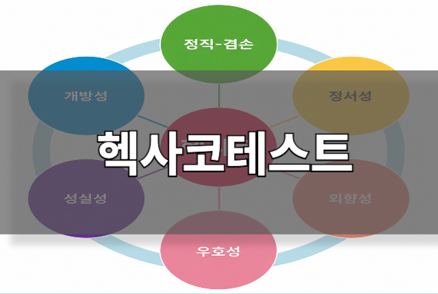 헥사코 테스트 안내